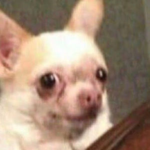 Meet your Posher, Ariana